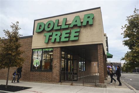 dollar tree new items for 2024